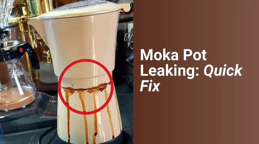 Moka Pot Leaking
