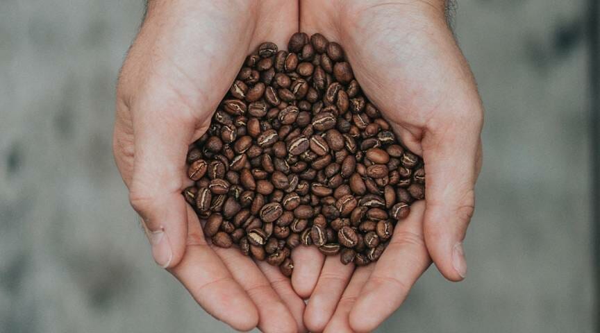 Where does Arabica coffee come from